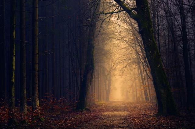 Read more about the article Rozstanie, żałoba, kryzys w związku – jak odzyskać równowagę dzięki pomocy psychologicznej Katarzyny Perzanowskiej?