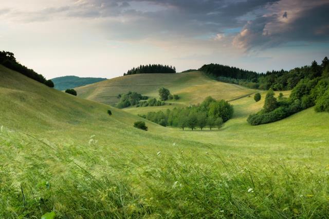 Read more about the article Pierwsze kroki w terapii: Dlaczego Kasia Perzanowska zawsze proponuje 3 spotkania wstępne?